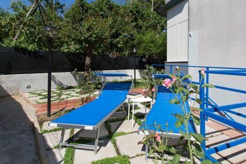 Patio, Garden, Solarium