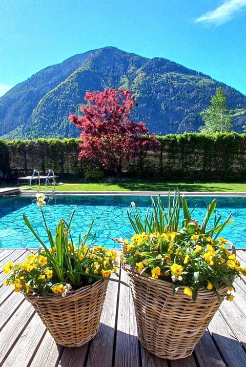 View (from property/room), Pool view, Swimming pool