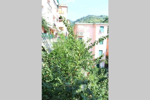 Ca Du Rocco - CITRA 011019-LT-0343 Apartment in Monterosso al Mare