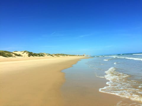 Beach, Sea view