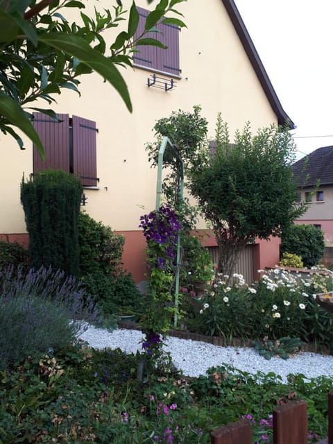 Le chouette gîte Maison in Sélestat