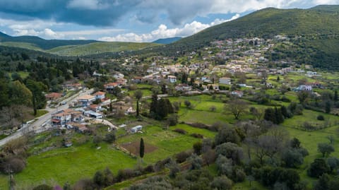 Neighbourhood, Natural landscape, Bird's eye view