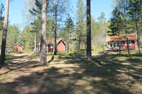 Property building, Natural landscape