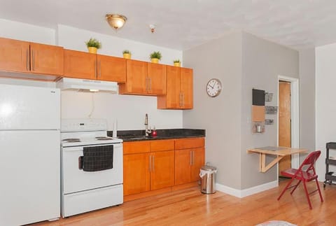 Downtown Studio Apt, Perfect For Medical Workers Condo in South Boston