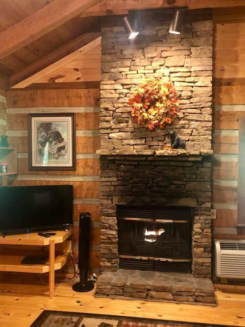 Bearadise House in Sevier County