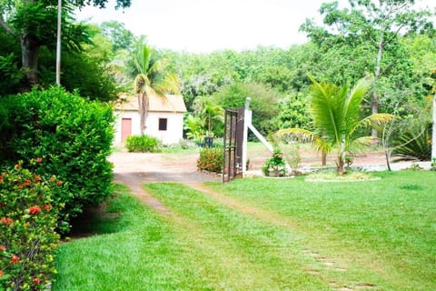 Chácara Serin, descanse e aproveite a nossa bela natureza House in Olímpia