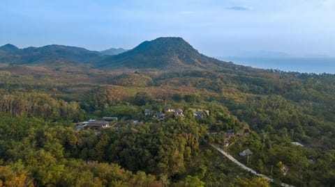 Natural landscape, Bird's eye view