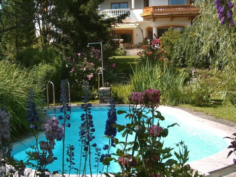 Garden, Swimming pool, Swimming pool