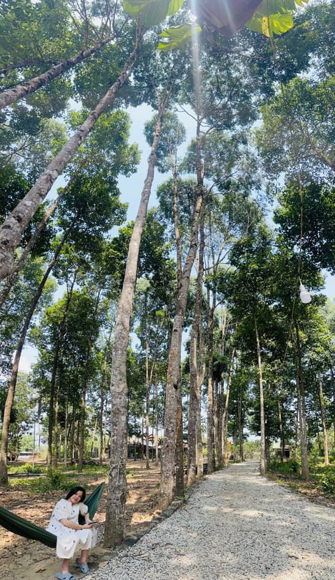 Cát Tiên Riverside Condo in Lâm Đồng