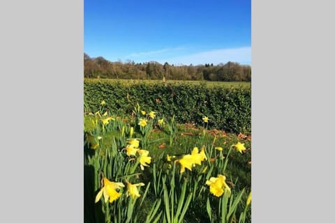 Self Catering - Gardeners Cottage House in Ireland