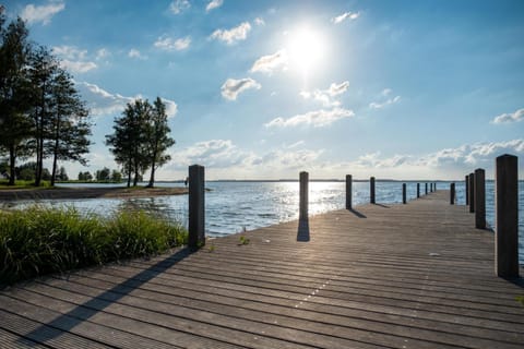 Cube of Luxury direkt am Strand EuroParcs Bad Hoophuizen House in Biddinghuizen