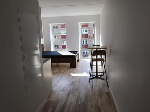 Amager Studio Condo in Copenhagen