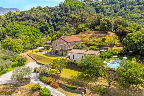 Property building, Natural landscape, Bird's eye view, Garden, Garden view, Swimming pool