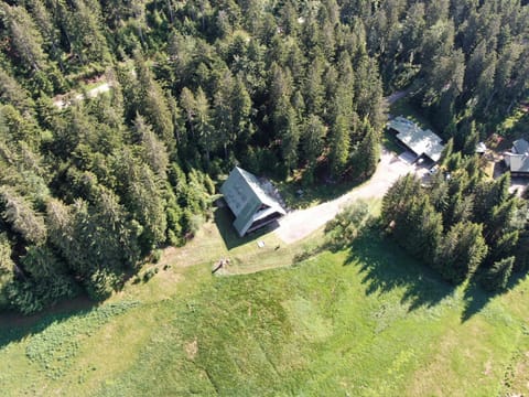 Day, Neighbourhood, Natural landscape, Bird's eye view