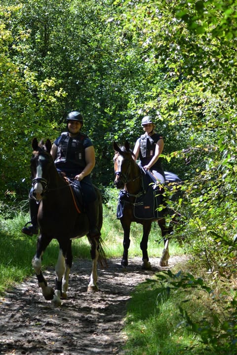 Horse-riding