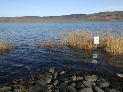 Minigolf, Hiking, Lake view