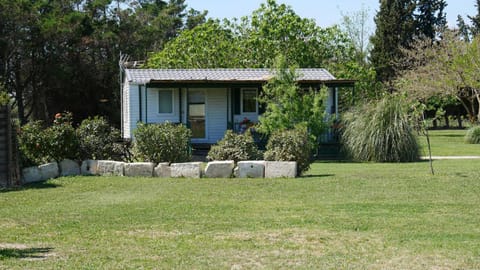 MAS MAURANE-Le Platane avec SPA privé aux portes d'ARLES House in Fontvieille