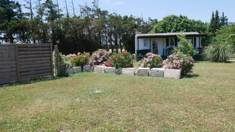 MAS MAURANE-Le Platane avec SPA privé aux portes d'ARLES House in Fontvieille