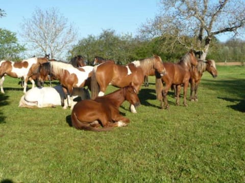 La grange Farm Stay in Bourgogne-Franche-Comté