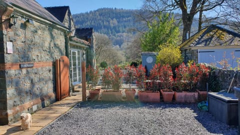 Property building, Garden view