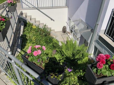 Casa Viola Bodenseeblick Apartment in Meersburg