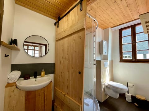 Shower, Toilet, Bathroom, towels