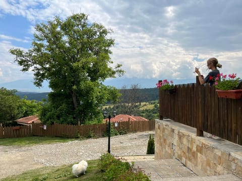 Farmhopping Village Villa in Blagoevgrad Province