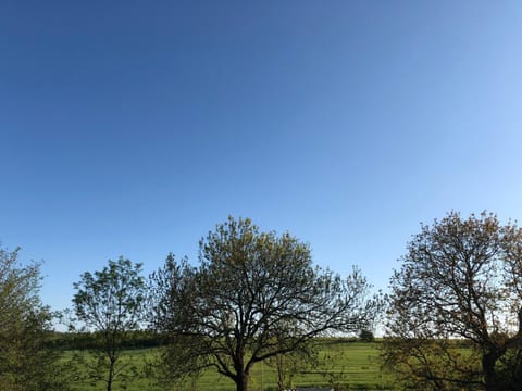 Ferienwohnung mit Blick auf die Burg Stargard Apartamento in Neubrandenburg