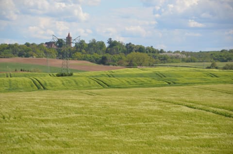 View (from property/room)