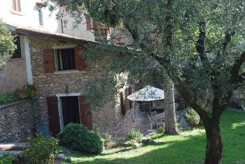 Patio, Garden, Garden view