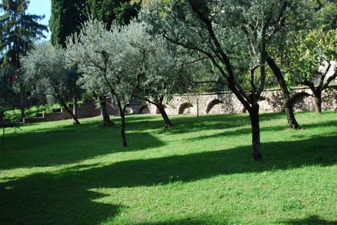 Patio, Garden, Garden view