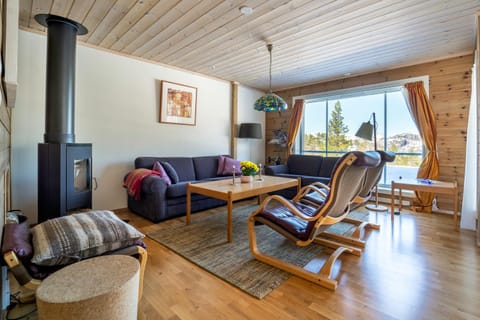 Living room, Seating area, fireplace