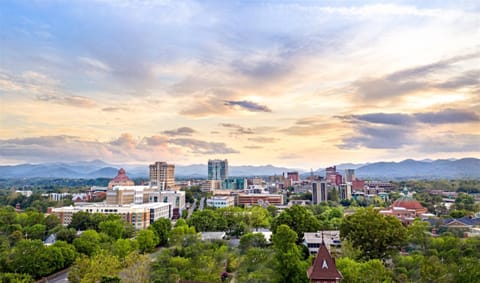 'The Views Over Pack Square Park' A Luxury Downtown Condo with Mountain and City Views at Arras Vacation Rentals Condo in Asheville
