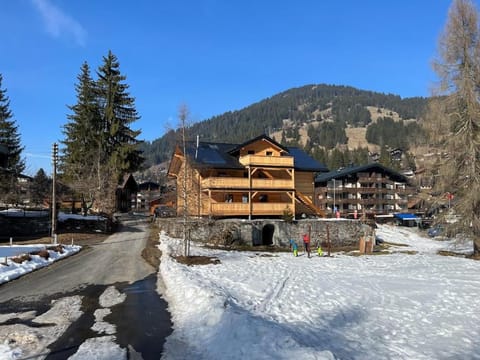 ZE Mountain Lodge, Morgins Condo in Châtel