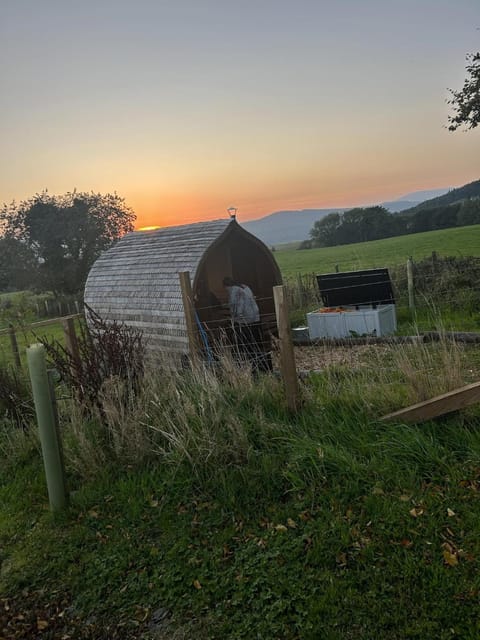 Property building, Sauna