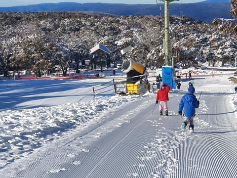 Winter, Skiing