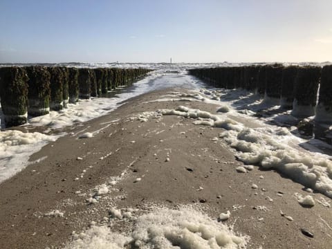 Natural landscape, Beach, Hiking