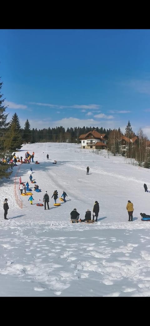 Apartmani Suncani breg Tara Apartment in Zlatibor District, Serbia