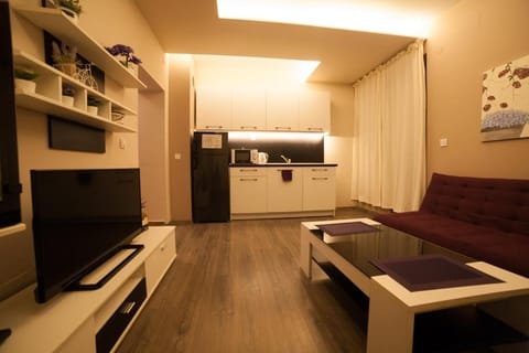 Апартамент ЕЛИ Apartment in Pleven