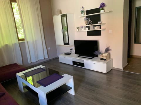 Апартамент ЕЛИ Apartment in Pleven