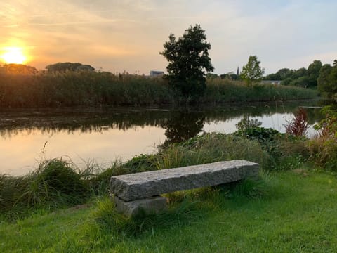 Fishing, Fishing, Sunset