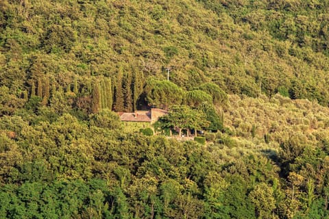 Cosoli House in Radda in Chianti