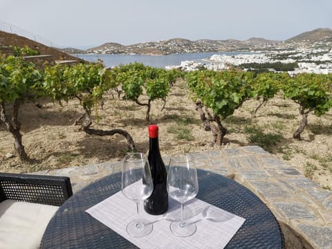 Patio, Natural landscape, Balcony/Terrace, Sea view