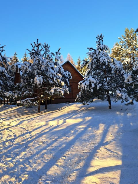 Natural landscape, Winter
