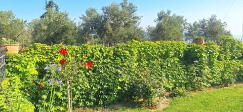 Sea view villa Stelios with Private pool Near the beach Villa in Crete