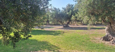 Sea view villa Stelios with Private pool Near the beach Villa in Crete