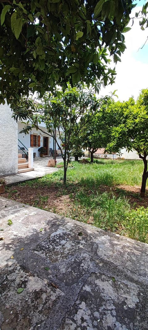 Facade/entrance, Garden