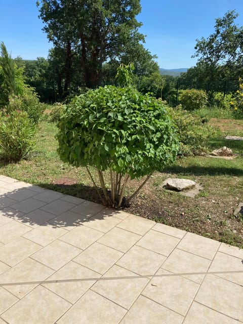 La Bastide de l'Olivier Villa in Flassan