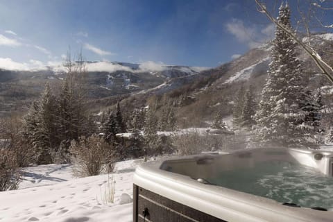 Lemond Place Home House in Snowmass Village