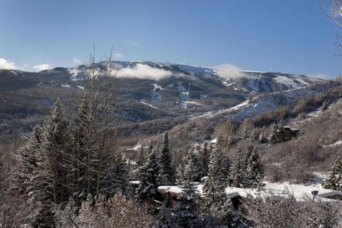 Lemond Place Home House in Snowmass Village